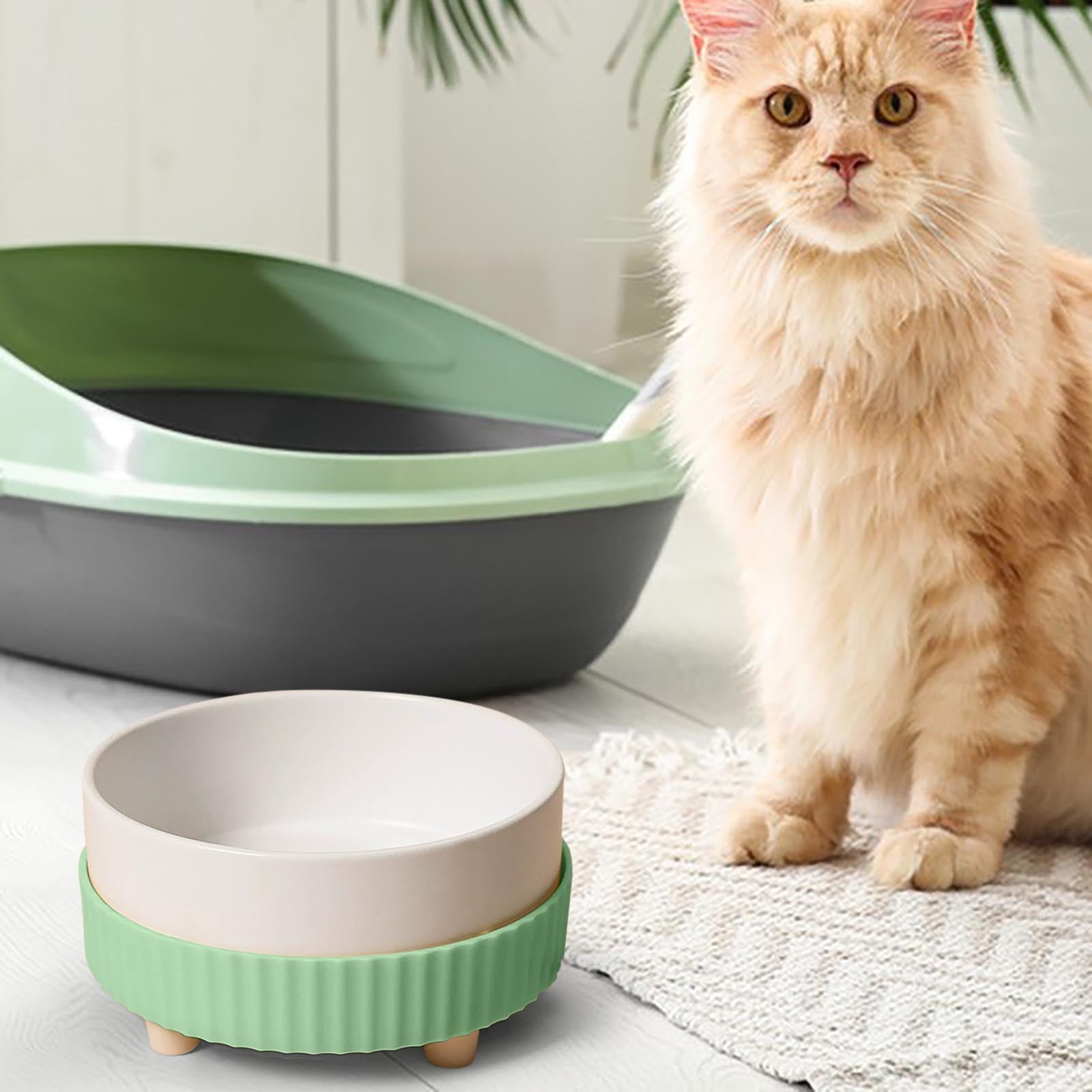 Ceramic Bowl With Constant Temperature Heating Drinking Bowl For Cats In Winter Food Bowl To The Cervical Spine Feeding Bowl