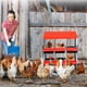 thumbnail image 1 of Heavy - duty galvanized steel 6 - hole red chicken nesting box con stand - lockable lid para easy egg collection, ideal para para outdoor poultry coops in farms y backyards, 1 of 7