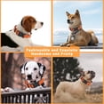 thumbnail image 5 of 2 Pack Reflective Dog Collar with Safety Locking Buckle, Adjustable Soft Breathable Comfortable Nylon Pet Collar for Small, Medium and Large Dogs, Turquoise, XS, 5 of 5