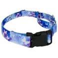 thumbnail image 4 of Country Brook Petz® Watercolor Butterflies Martingale Dog Collar with Plastic Buckle, Small, 4 of 5