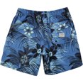 thumbnail image 2 of Quiksilver Seasalt Volley - Bañador para hombre, color azul, pequeño, 2 of 2