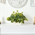 thumbnail image 5 of Nearly Natural Pothos with White Wash Planter - Silk Plant Green, 5 of 5