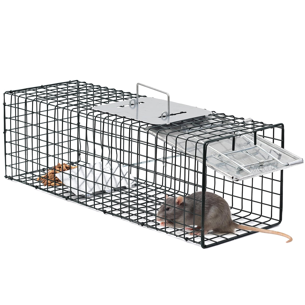 24 X 7 X 7 Professional Squirrel Trap For Squirrels/Skunks/Chipmunks