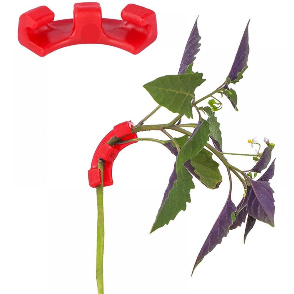 Aceshop 30Pcs Plant Bender 90 Degree Plant Bending Trainer Garden Plant Trainers Twig Morsetti Rami Bender Bender Bending Clips per Low StressTraining e Plant Training Rosso
