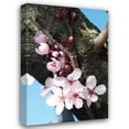 thumbnail image 1 of Erin Berzel 28x40 Gallery Wrapped Canvas Wall Art Titled - Cherry Blossom I, 1 of 4