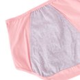 thumbnail image 3 of DJskiyers Womens Leak Proof Underwear Soft High Waist Panties Ladies Incontinence Panty Cotton Plus Size Briefs Comfort Underpants, 3 of 5
