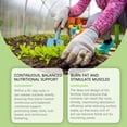thumbnail image 2 of Slow Release Plant Fertilizer Sticks 18 Pack Indoor Outdoor Flower Food for Potted Plants Houseplants Garden Nutrients Booster Growth Enhancer, 2 of 8