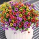 thumbnail image 1 of Flores artificiales INQCMY de seda sintética con forma de margarita, 12 paquetes, para exteriores, 1 of 7