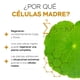 thumbnail image 4 of Vitasei | Serum Facial Noche con Células madre y Colágeno de 30 ml | Hidro renovador celular | Piel Rejuvenecida, 4 of 7