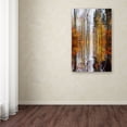 thumbnail image 3 of Trademark Fine Art "Higher Ground" Canvas Art by Philippe Sainte-Laudy, 3 of 3