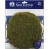 Moss Pot Toppers 8" 3/Pkg-Green