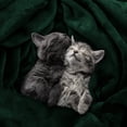 thumbnail image 4 of Cama polar Blanket Utopia, tamaño king, color verde bosque, 300 g/m², 4 of 9