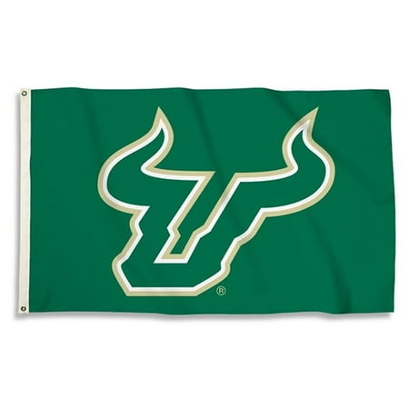 BSI 3 Ft. X 5 Ft. Flag W/Grommets
