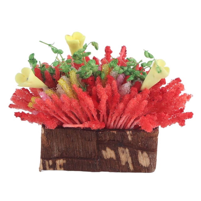 Planta Miniatura Jadeshay Flor en Miniatura de Arcilla Decoración Casa de Muñecas Maceta en Miniatura