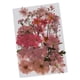 thumbnail image 2 of 76 flores secas prensadas naturales, flores prensadas reales, plantas para la fabricación de joyas de resina, decoración floral de, 2 of 9