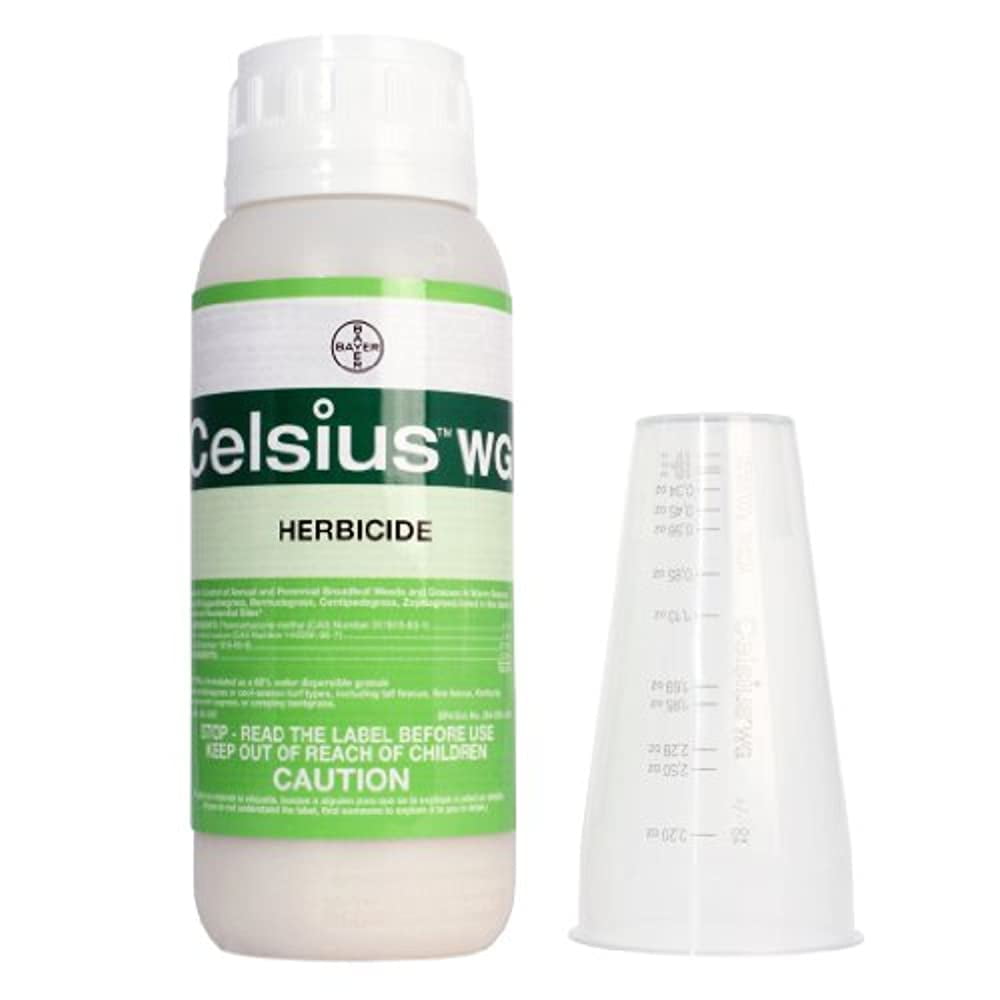 Celsius WG 10 oz