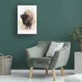 thumbnail image 4 of Trademark Fine Art David Drost Standing Buffalo II Canvas Wall Art, 4 of 4