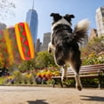 thumbnail image 6 of FTsdfkl 1PCS Hot Dog Shaped PVC Squeaky Dog Toy, Vocal Interactive Chew Toy For Small Medium, Food-Themed Pet Toy for Teething & Playtime(5.6*2Inch), 6 of 8