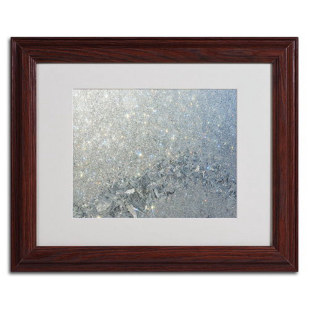 Trademark Fine Art "Frost Pattern Sun Stars" by Kurt Shaffer, Wood Frame