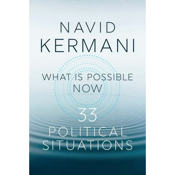 What Is Possible Now: 33 Political Situations, (Hardcover)