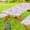 Mermaid, variant on Picnic Table Cover with Bench Covers and Bag, Camping Essentials, Eucalyptus Leaves Outdoor Table Covers, Windproof, Fitted Tablecloth Cover with Elastic Edge, 3 PCS, 30x72 Inch