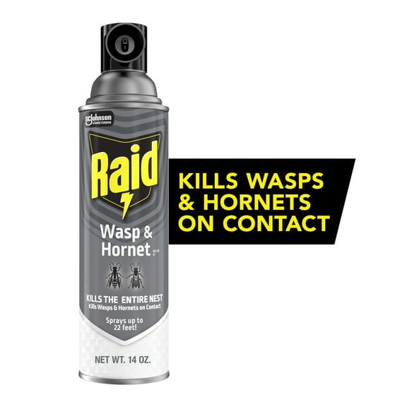 Raid Killer 33 Outdoor Wasp and Hornet Insecticide Value Pack, 14 oz, 2 Count