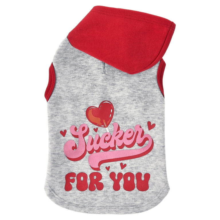 Vibrant Life Valentine's Day Sucker for You Cat and Dog Hoodie