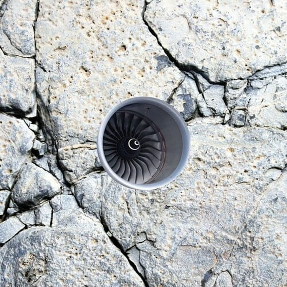 Babyxxan - In - Tran - Situ - Music & Performance - Vinyl