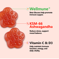 thumbnail image 3 of Biobor 4 in 1 Immunity Gummies with Wellmune® Beta Glucan, KSM-66 Ashwagandha, Vitamin C & D3, for Adults Immune Support & Stress Relief, Sugar Free, GMO Free, Gluten Free (Strawberry, 60 Ct), 3 of 7