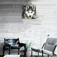 thumbnail image 3 of DIY animales serie pintura de diamantes de imitación sala de estar dormitorio decoración arte artesanía 8580 lobo, 3 of 5