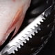 thumbnail image 3 of Raspador de escamas de pescado Toystoory multifuncional Acero inoxidable, 3 of 6