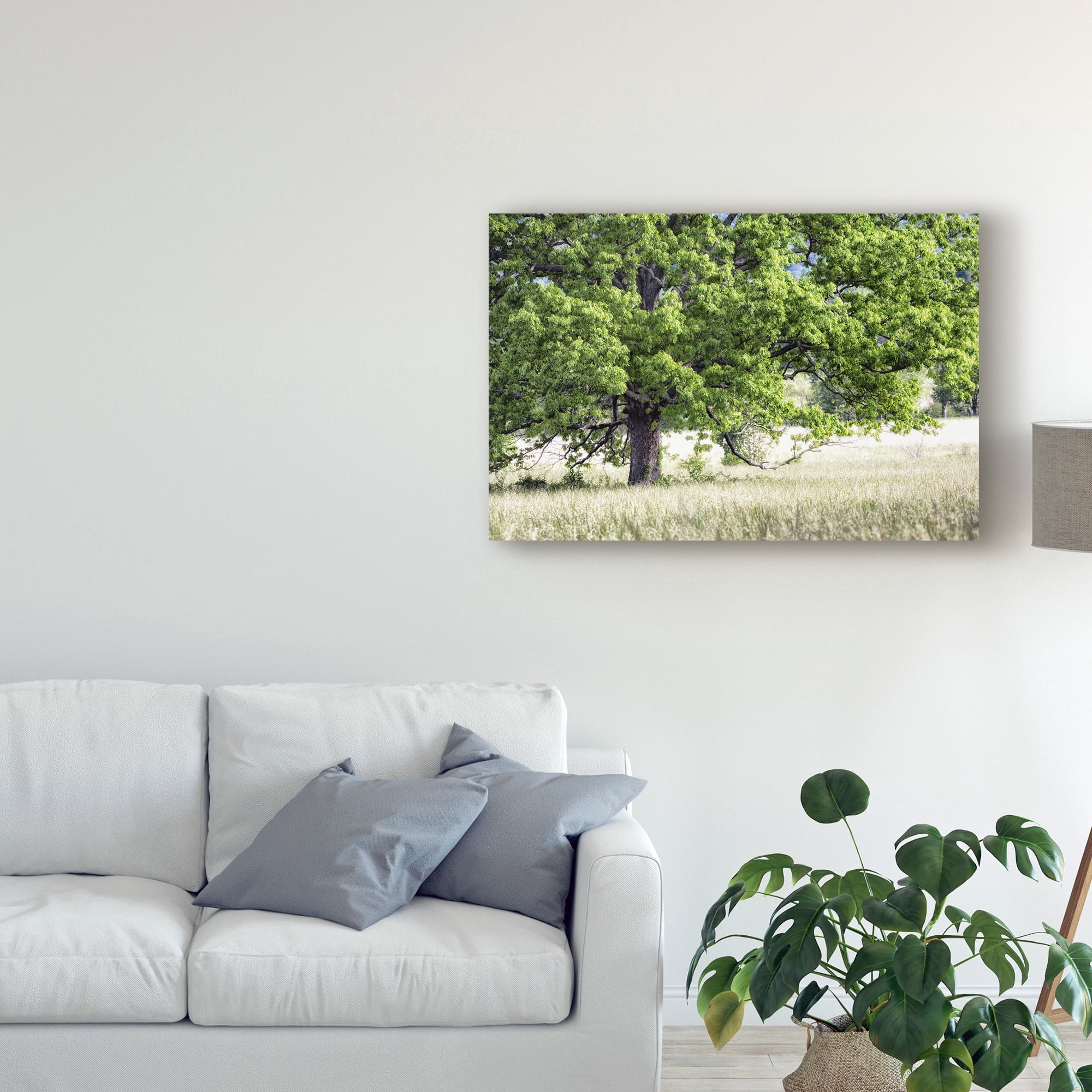 Trademark Fine Art 'Green Tree in Summer' Canvas Art by Danny Head