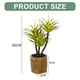 thumbnail image 2 of Suculentas artificiales, bonsáis, muebles creativos para el hogar, plantas verdes artificiales, plantas en macetas., 2 of 5