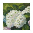 thumbnail image 1 of Hydrangea of Neoclassicism - Canvas, 1 of 10