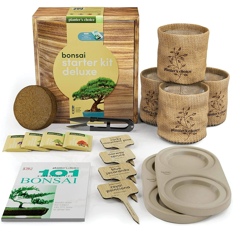All-In-One Premium Bonsai Tree Kit + 101 ESSENTIAL TIPS Book and Complete  Tool kit - in Unique Wooden Gift Box - Easily Grow 4 Trees from Seed -  Bonsai Planting Starter Kit 