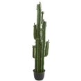 thumbnail image 1 of Nearly Natural 8103 6.5 in. Cactus Artificial Plant, 1 of 1