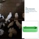 thumbnail image 4 of comederos colgantes de plástico para pájaros, taza de agua, accesorios para loros, bebederos para colibríes, comedero para palomas y caja de comida., 4 of 6