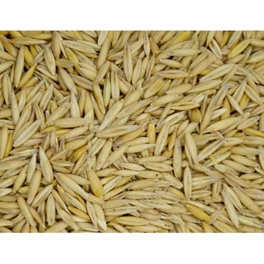 Bob Oats Grain Seed - 5 Lb.
