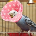 thumbnail image 4 of Parrot Collar Anti-pecking Collar Bird Recovery Collar Ring Anti-biting Bird Cone Collar, 4 of 5