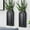Black, variant on Indoor Wood Wall Planter Set of for Plants - Boho Handmade Hanging Propagation Station with Curved Rainbow Design, Wall Mounted Vase for Flowers, Natural Home Decor Living Room Entryway(2)