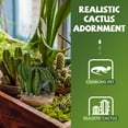 thumbnail image 3 of MasteelfCA Cactus en Résine Décoration Reptiles Caché Boîte d'Alimentation Décor (Vert), 3 of 7