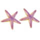 thumbnail image 3 of Juguete de Estrella de Mar, Textura única Detalla de Simulación de Múltiples Propósito Starfish de Resina para Adornos para Regalos para Niños, 3 of 7