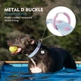 thumbnail image 3 of Wolfone Waterproof Dog Collar with Quick Release Buckle， Cute Adjustable Collar for Dogs Comfort Sturdy Durable Odor Proof Easy Care（Spun Sugar 28-36cm）, 3 of 7