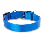 Vibrant Life Solid Nylon Dog Collar with Metal Clasp, Blue, Large