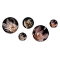 thumbnail image 2 of Designart "Pink Feather Rose On Black I" Floral Rose Metal Wall Art Set of 5 Piece, 2 of 5