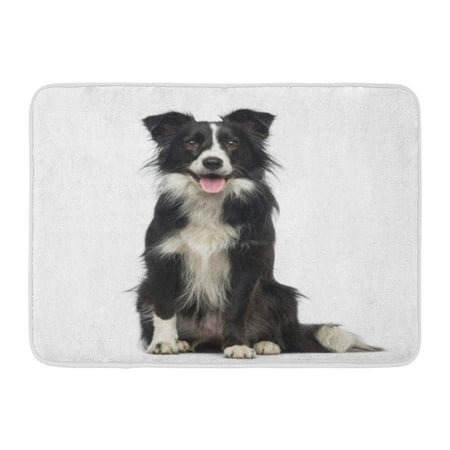 - GODPOK Cut White Dog Border Collie 2 Years Old Black Happy Camera Rug Doormat Bath Mat 23.6x15.7 inch