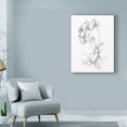 thumbnail image 3 of Trademark Fine Art 'UA CH Botanical Sketch V' Canvas Art by Ethan Harper, 3 of 4