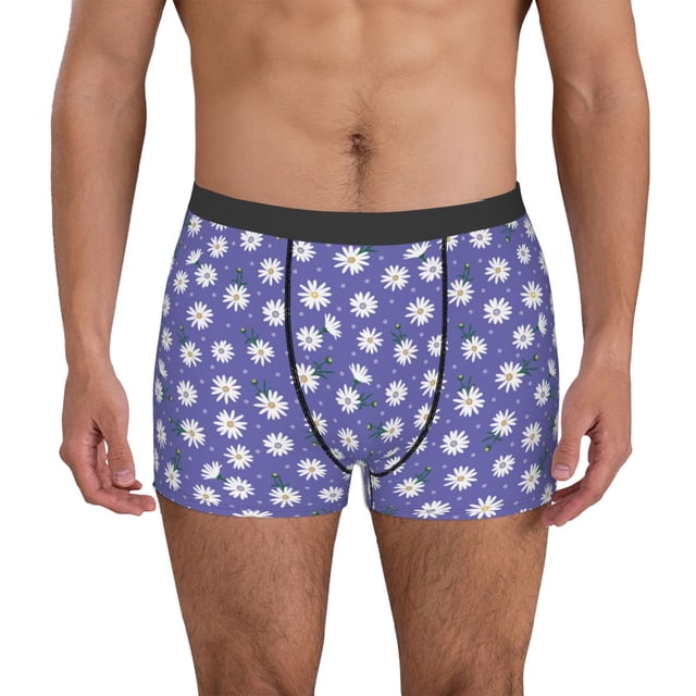 Balery Daisies Flowers Calzoncillos bóxer para hombre, ropa interior de algodón suave y transpirable con cinturilla de nailon-X-Large