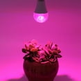 thumbnail image 6 of 2 PCS Grow Lights for Indoor Plant ,Indoor Plant Light with 9 Watts (60W Equivalent) for Small Mini Succulent Seedling Growth，E27, 6 of 10