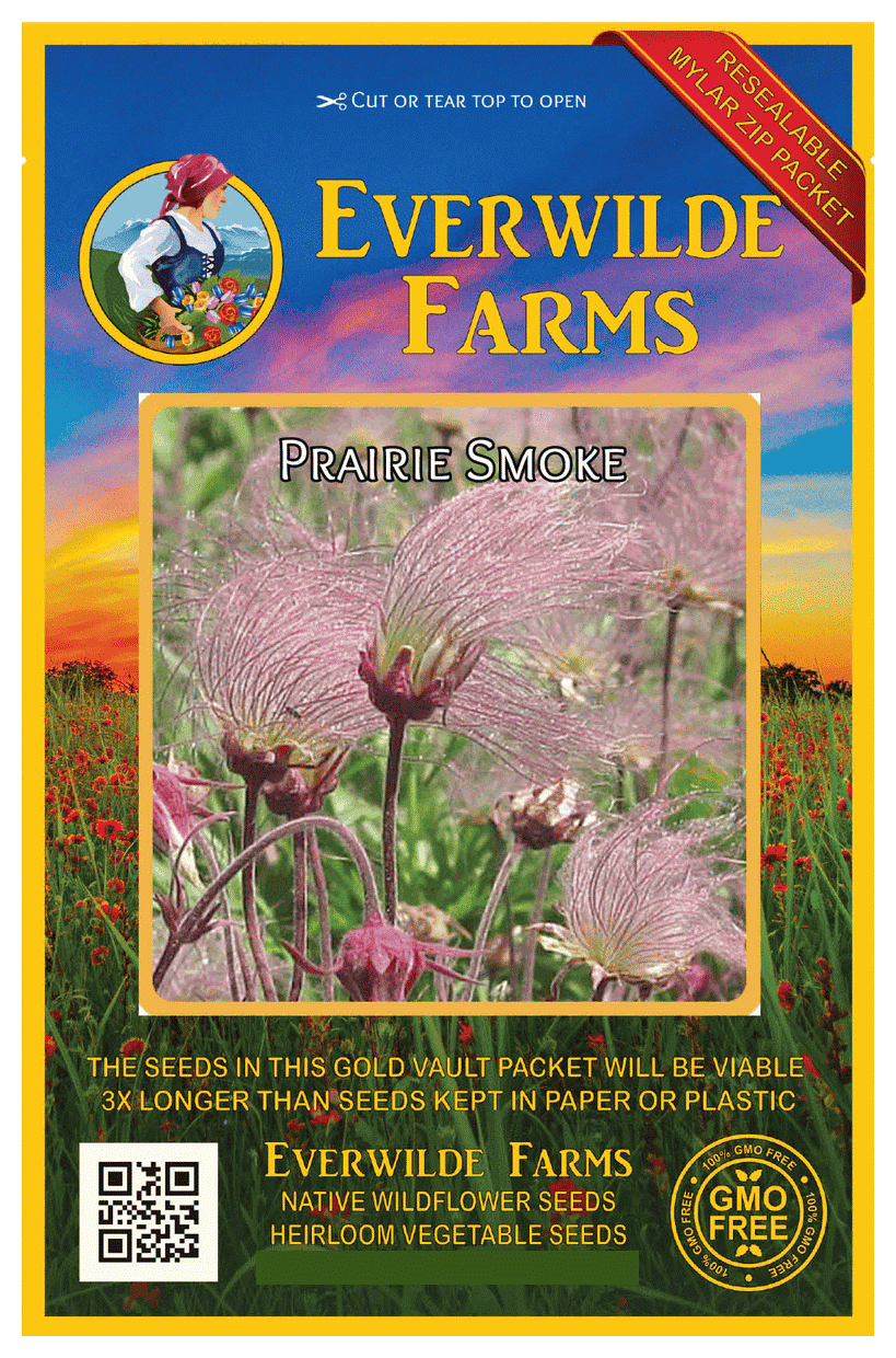 Everwilde Farms 100 Prairie Smoke Native Wildflower Seeds Gold